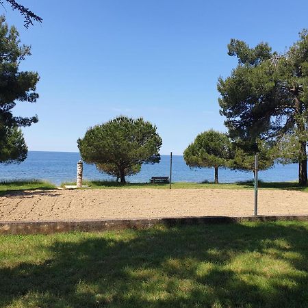 Family Bungalow Pineta Novigrad Istria Esterno foto