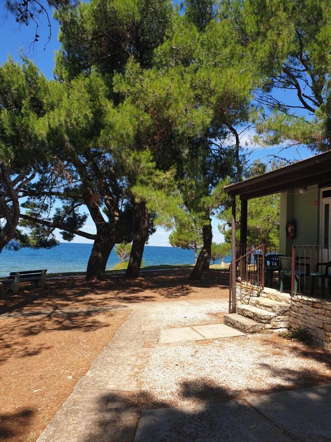 Family Bungalow Pineta Novigrad Istria Esterno foto