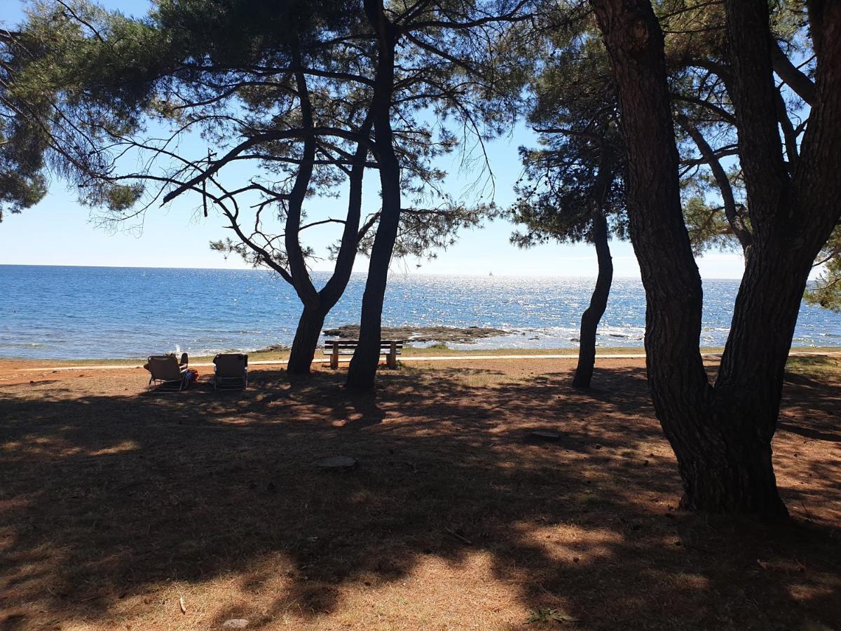 Family Bungalow Pineta Novigrad Istria Esterno foto