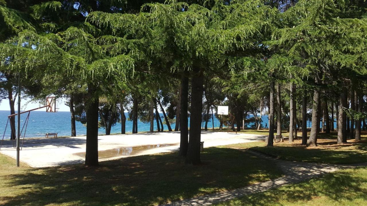 Family Bungalow Pineta Novigrad Istria Esterno foto