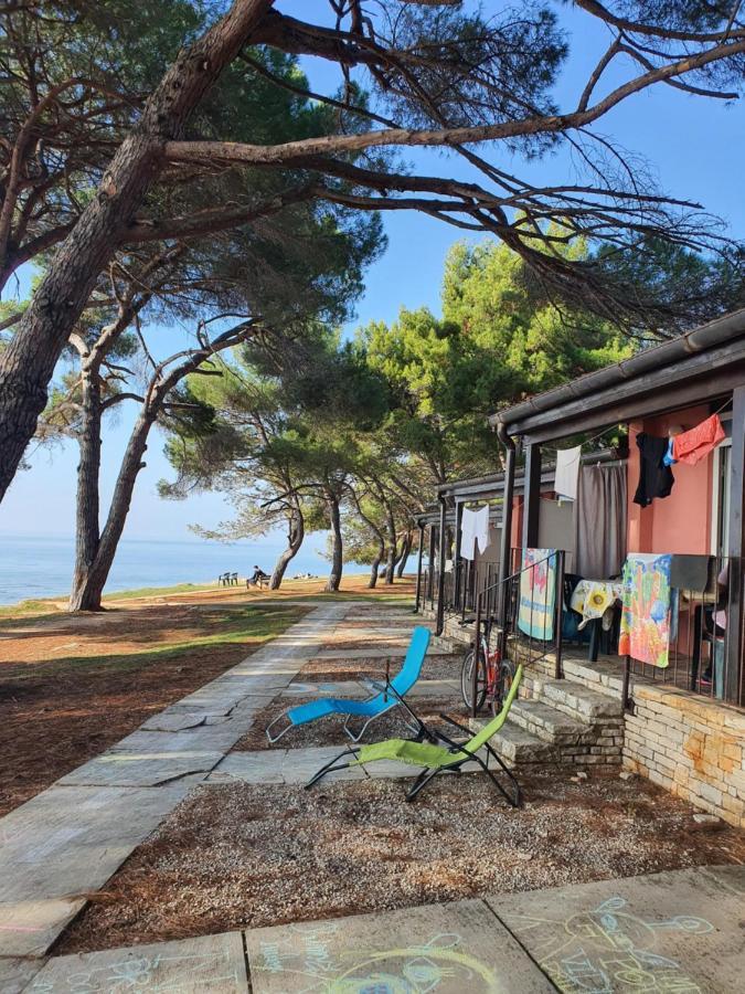 Family Bungalow Pineta Novigrad Istria Esterno foto