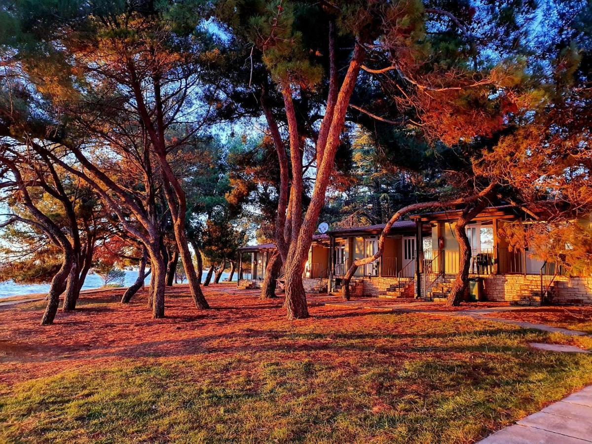 Family Bungalow Pineta Novigrad Istria Esterno foto