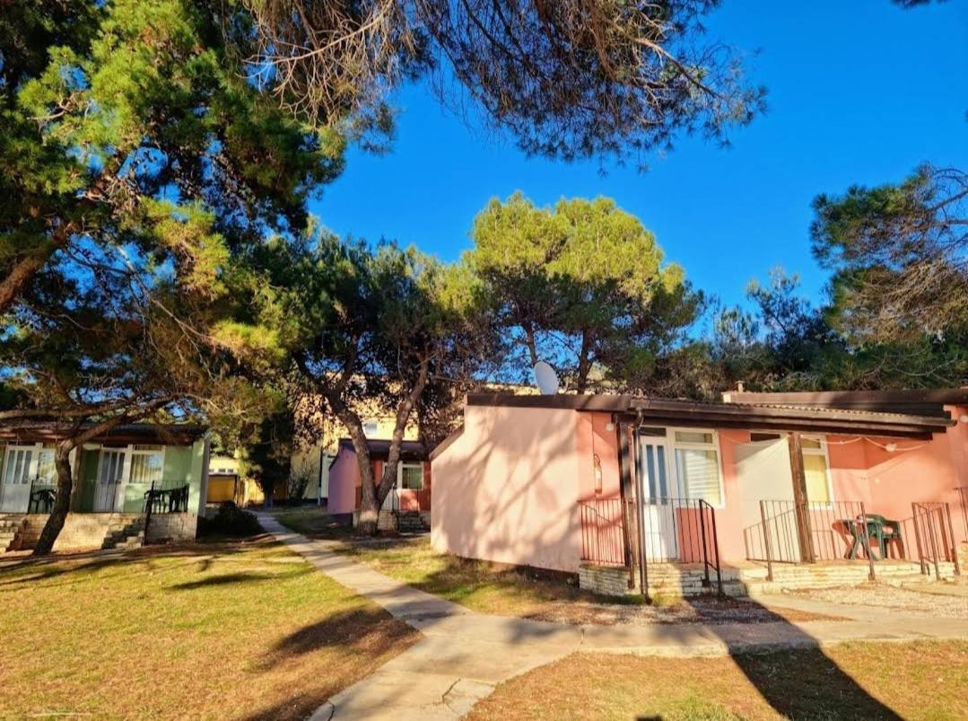 Family Bungalow Pineta Novigrad Istria Esterno foto