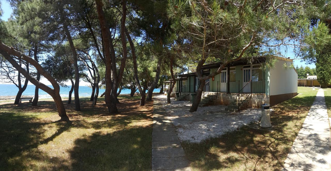 Family Bungalow Pineta Novigrad Istria Esterno foto