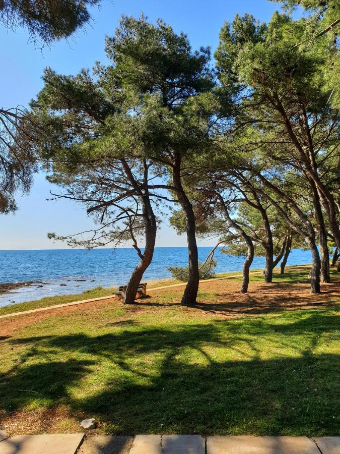 Family Bungalow Pineta Novigrad Istria Esterno foto
