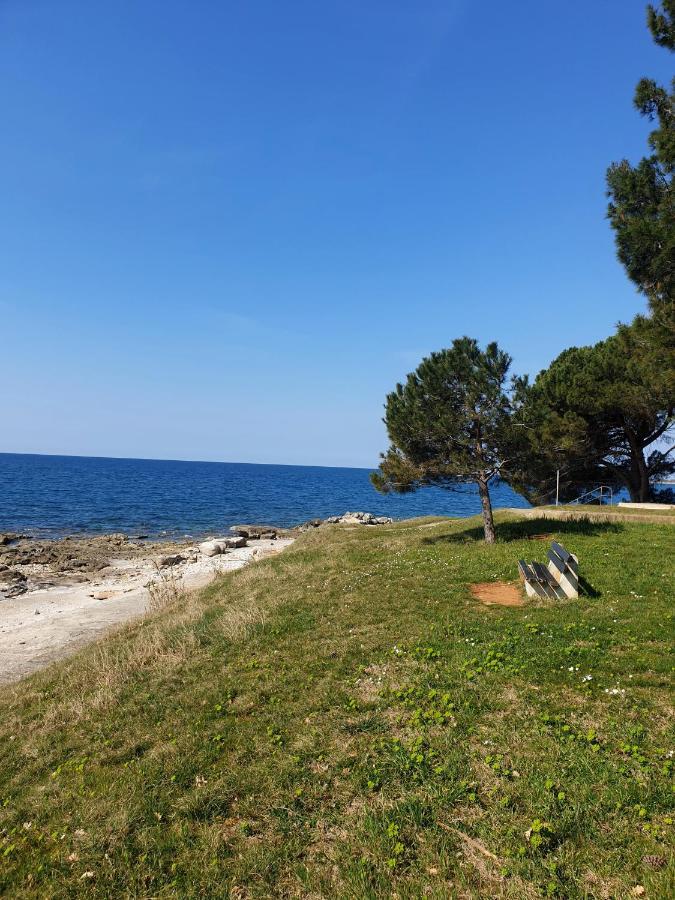 Family Bungalow Pineta Novigrad Istria Esterno foto
